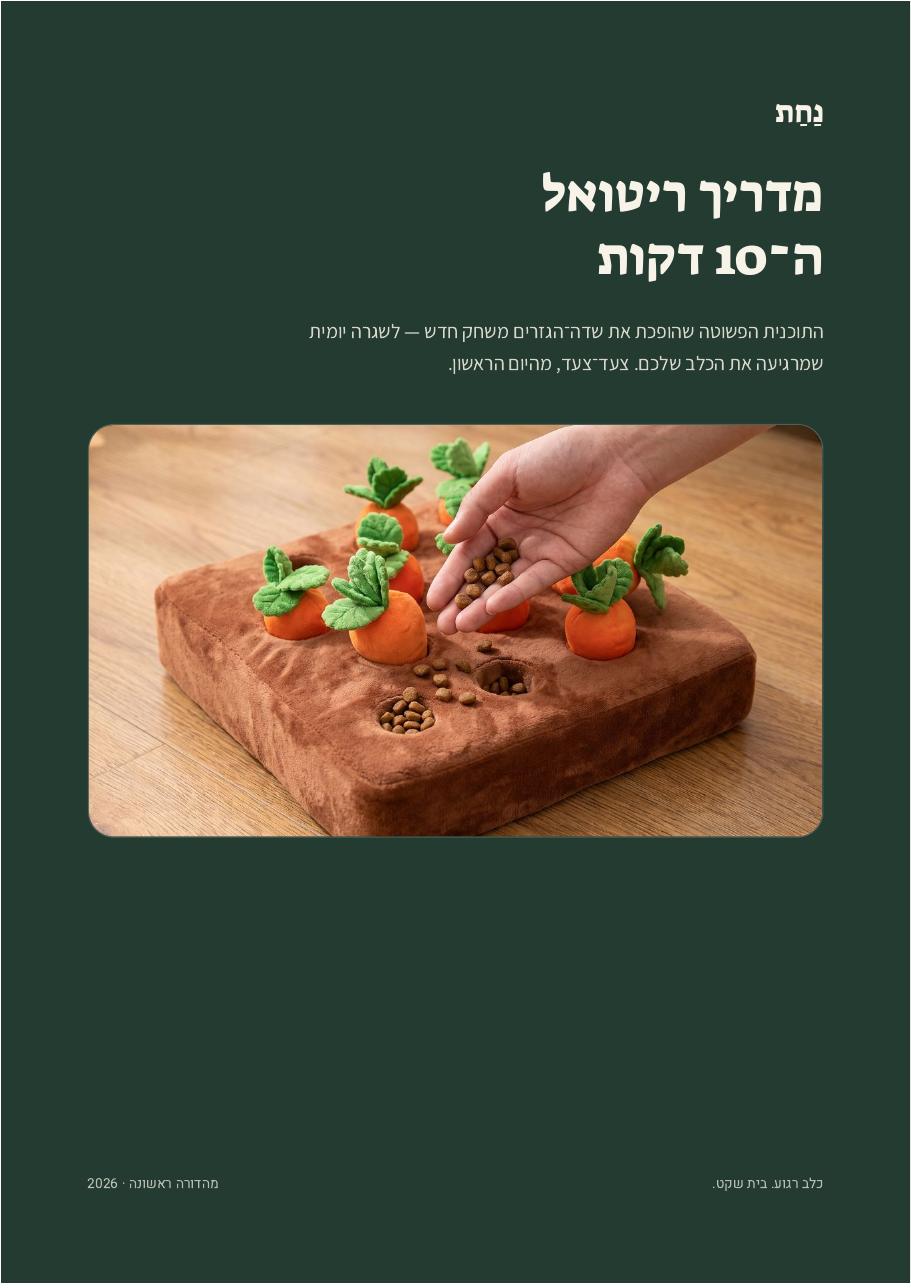 מדריך ריטואל ה־10 דקות — עטיפה